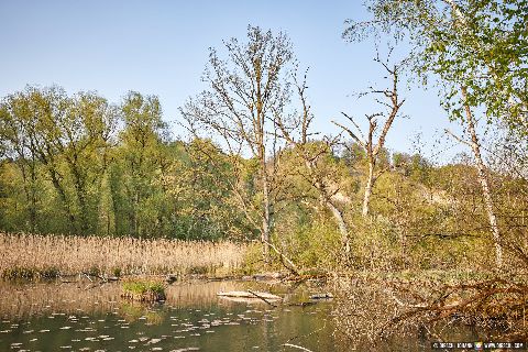 Gemeinde Marktl Landkreis Altötting Altwasser Naturschutzgebiet (Dirschl Johann) Deutschland AÖ